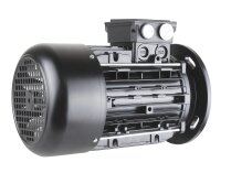 Riello 3013565 electric motor
