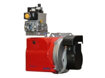 Ecoflam MAX GAS 105 LN P TL GN SR TW gas burner, art: 3142746.